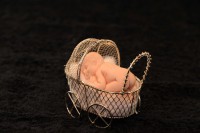 /album/galerie-de-photos-galerie-photos/bebe-poussette-jpg1/